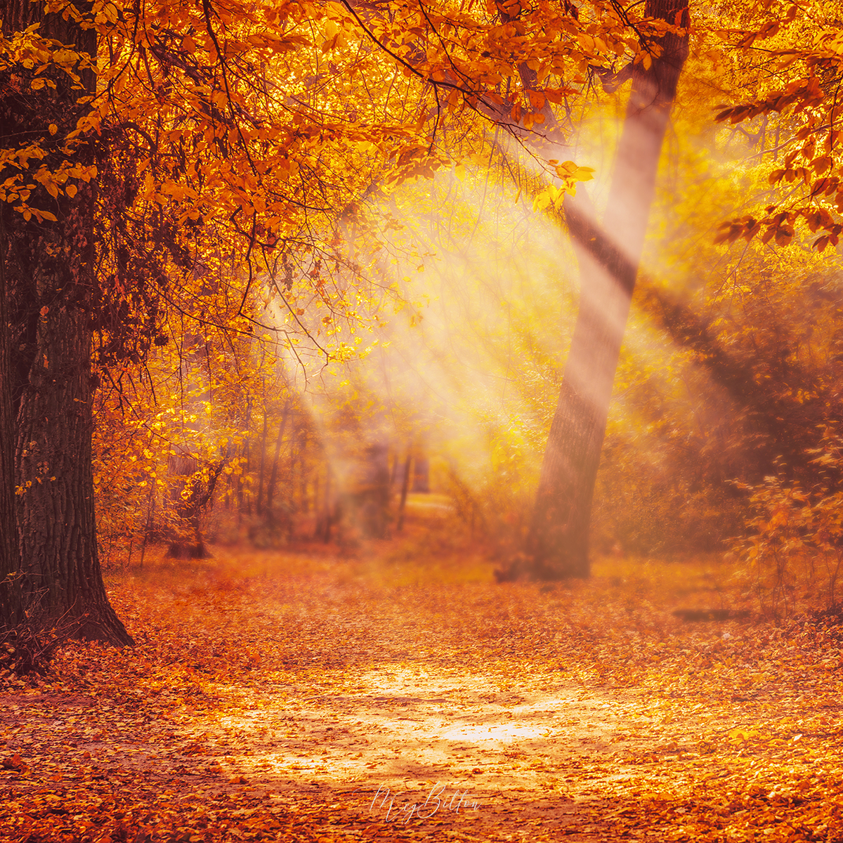 Energie update - Marijke