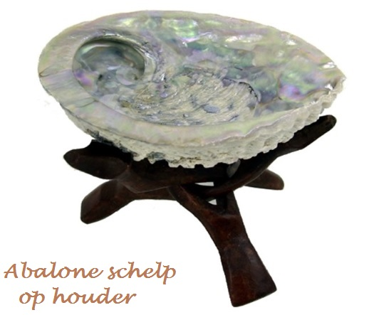 Abalone schelp voor smudgen ritueel, in-syn