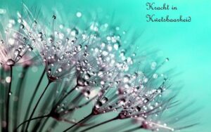 Durf je kwetsbaar op te stellen