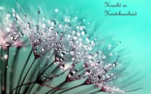 Durf je kwetsbaar op te stellen