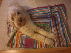 Communiceren met kleuren