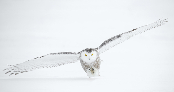 Leren leven op de vleugels van jouw eigen vlucht